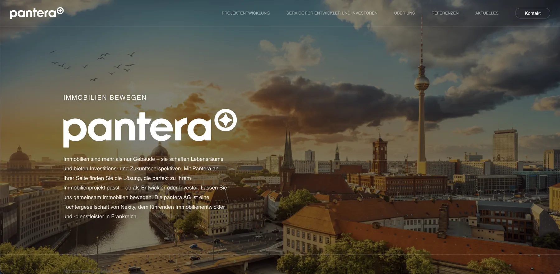 Website pantera AG — Hero-Sektion